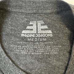 Imagine Dragons Evolve Tour Mens Medium T-Shirt Dark Gray 2018 Concert