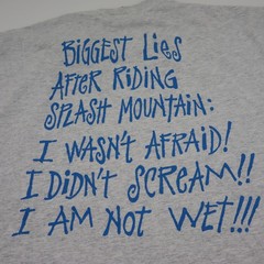Vintage Disney Splash Mountain Shirt Mens Large Mickey Mouse Retired Ride Tee