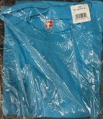Hanes Tagless 100% Preshrunk Cotton Men’s Size Large Tee Shirts Many Colors
