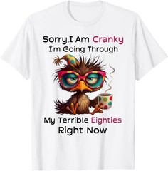 Sorry I Am Cranky I’m Going Through My Terrible Eighties T-Shirt