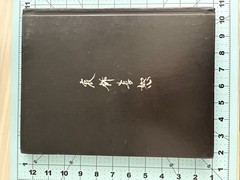 Metal Gear Solid collector lot with Uniqlo 25th Anniversary shirt