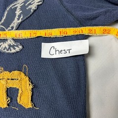 American Eagle Y2K Vintage Fit Graphic Thermal Distressed Varsity Applique L