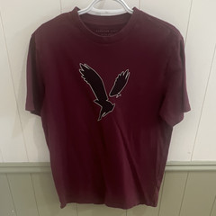 American Eagle Super Soft Standard Fit Graphic Logo Burgundy Crew Tee, Men S