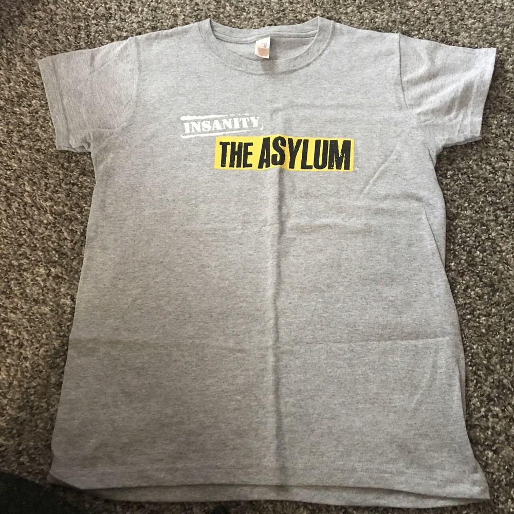 Beach Body Insanity The Asylum Gray T Shirt Small