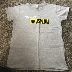 Beach Body Insanity The Asylum Gray T Shirt Small