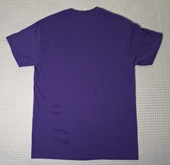 Daytona Beach Florida Souvenir Butterfly Colorful Purple T-shirt Size M Gildan