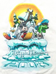Disney Blizzard Beach 2008 Size XL Graphic Tee With Mickey Donald and Goofy