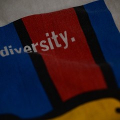Vintage UN Single Stitch “Unity Through Diversity” T Shirt Beefy Hanes XL