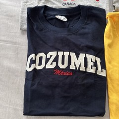 Lot Of 8 T-Shirts Vacation Destination Caribbean Embroidered Comfy SZ Large Bulk