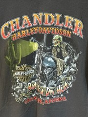 Harley Davidson Shirt Adult Size XL Gray Chandler Arizona Graphic Biker Tee Mens