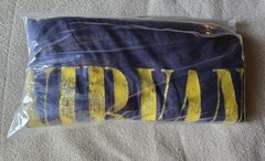 Vintage 2015 Nirvana Concert Tour Tee Shirt Mens L Rock Band Music Retro Artist