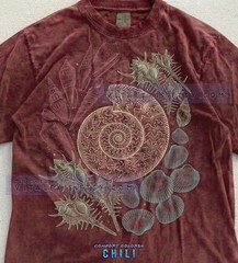 Vintage Seashell Ammonite Marine Life Comfort Tee