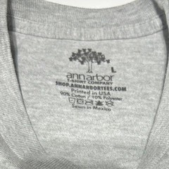 Ann Arbor T-Shirt Company “I Paused My Game To Be Here” Gray Graphic Tee Size L