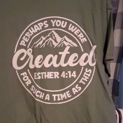 Gildan Heavy Cotton Men’s L Green Crew Neck Short Sleeve Esther 4:14 Tee