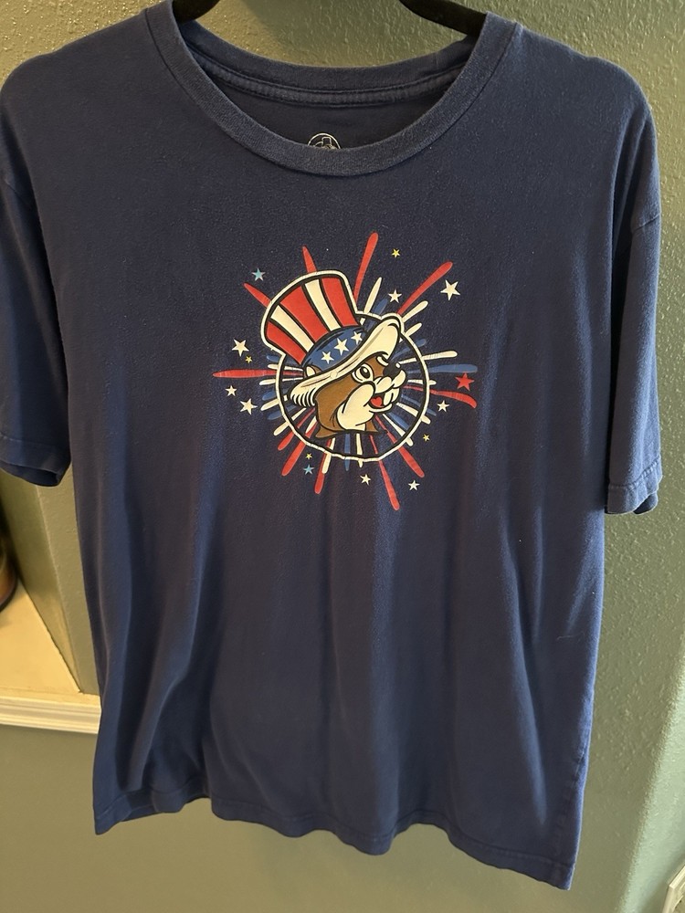 Buc-ees Large Land Of The Free Blue 4th Of July T-Shirt Fireworks Patriotic EUC