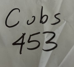 Chicago Cubs “Heritage” Men’s L Gray Distressed Walking Clark the Cub