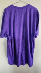 Dickies Graphic Logo Mens Purlple T Shirt. 2XL