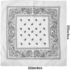 30PCS Bandanas Unisex Paisley Bandanas Bulk MultiPurpose Headband Cowbo…