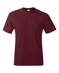 Hanes Unisex Authentic T-Shirt – 5250