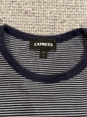 Express Men’s T-Shirt Shirt Tee Blue White Sripe Medium