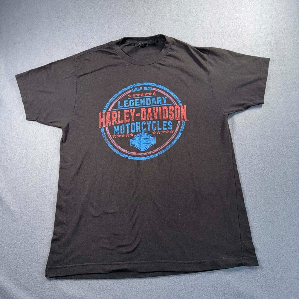 Harley Davidson Cowboy Austin TX Eagle Graphic T Shirt Mens 20×27