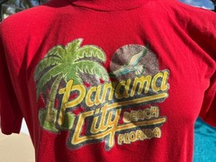 Vintage 80’s Panama City Beach Florida Lee Glitter Letters T Shirt Mens L Large