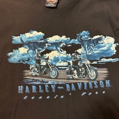 Vintage 1998 Harley-Davidson Ridin’ Out The Storm Panther T-Shirt XL