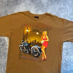 Harley Davidson Classic Models Pinup Girl T-Shirt Mens Large Brown Aurora CO