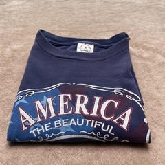Delta Pro Weight Men’s Medium Short Sleeve -Blue America Free & Brave T-Shirt