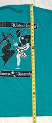 Vintage 90s Chi Omega Owl Winter Formal Clemson Sorority Shirt Hanes Beefy