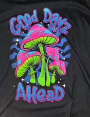 Good Days Ahead Tee Riot Society Tee & burgundy distressed beanie bundle