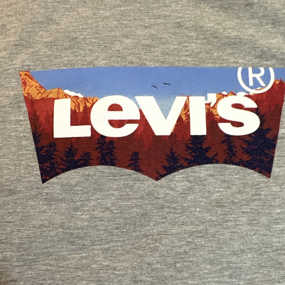 Levi’s Men’s Gray Graphic Logo T-Shirt Crew Neck Short Sleeve Cotton M