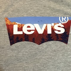 Levi’s Men’s Gray Graphic Logo T-Shirt Crew Neck Short Sleeve Cotton M
