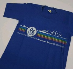 Vintage 70s 80s Somerset Beach Michigan Print T Shirt Vtg Blue Multicolor USA XS