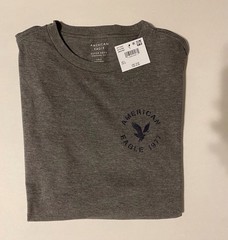 American Eagle Outfitters MENS Super Soft Standard Fit T-Shirt Size L