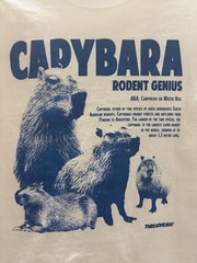 Thread Heads Capybara Rodent Genius Animal Graphic T-Shirt White Medium