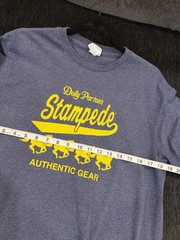 VTG Delta Pro Weight Dolly Parton’s Stampede Blue Graphic Logo Crew Neck Tee M