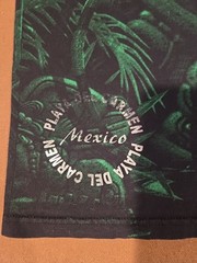 Y2K VTG AOP LIZARD Iguana Mexico Playa Del Carmen Yazbek Reptile Size XL