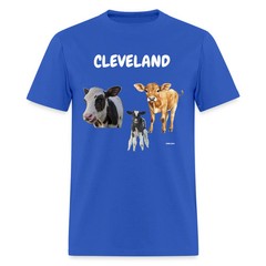 CAVS