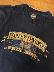 Harley Davidson T-Shirt Eagle Men L/XL Black Chattahoochee Georgia 2007 USA Made