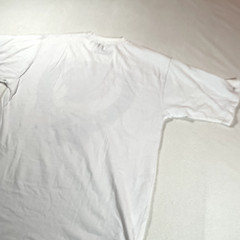 Y2K Avirex Shirt Mens Large White Y2K Tiger Hip Hop Rap Street Wear Tee Vintage
