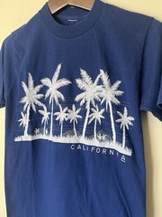 Vintage 70s 80s California Beach Surf Art Shirt Adult Small