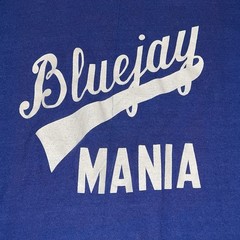 RARE Vintage 1970’s Toronto Blue Jays MLB Inaugural Season T-Shirt Size LARGE