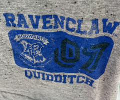 HARRY POTTER ~ RAVENCLAW ~ QUIDDITCH HOGWARTS 07 GRAY T-SHIRT ~ SIZE XL