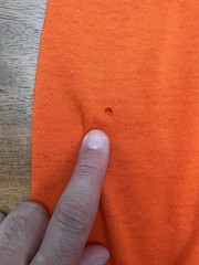 True Vintage 1970s Oregon State Beavers Men’s XL Single Stitch Orange T Shirt