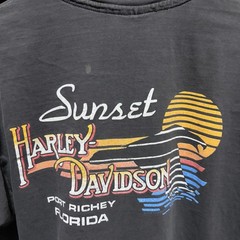 Vintage 90s Harley Davidson Sun Faded Single Stitch T Shirt Looney Tunes Taz XL