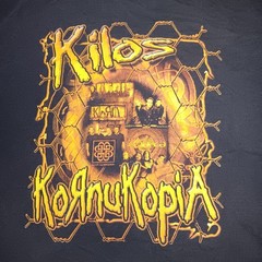 Vintage 2004 94.3 Kilo, Harley, Kornukopia Concert Tee Size 2xl Fits Like 1xl