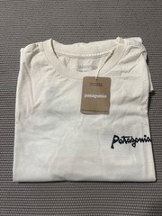 Patagonia Men’s Aquatic Action Organic T – 37801 LFNL size M, Small Imperfection