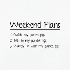 Weekend Plans Guinea Pigs – Mens Ringer – Guineas Pig Boars Pet Love Cute Funny