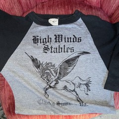 Pennsylvania Horseback riding stables rare vintage T-Shirt Crew Neck S original